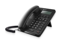IP-450S